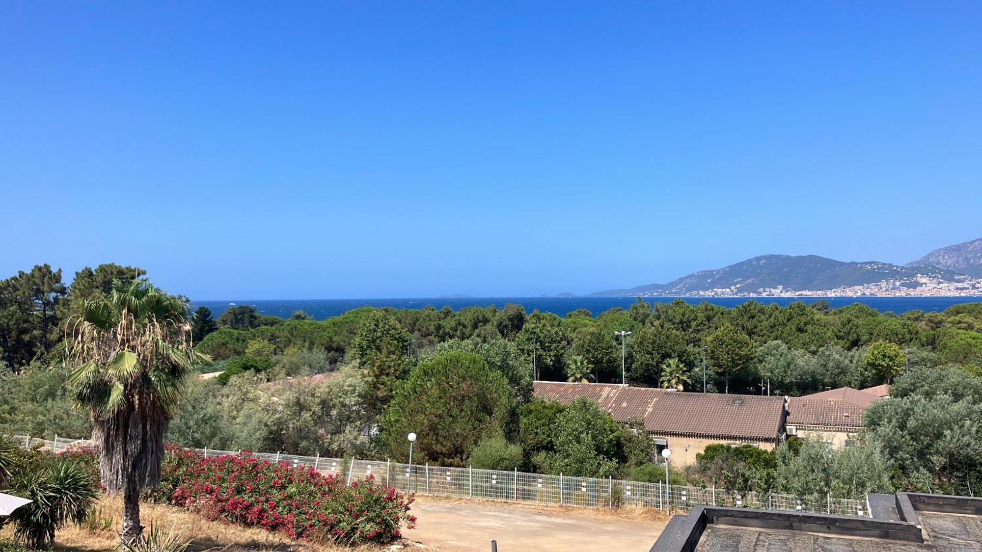 Porticcio Vacations - Terrasse, Piscine, Jacuzzi, Clim - By Tgb Apartment Exterior photo